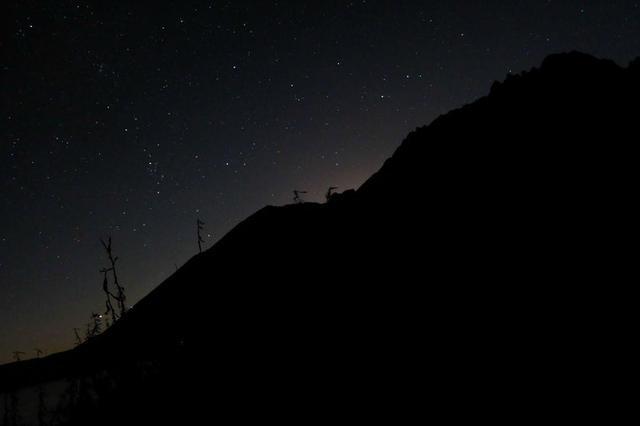 为什么大家对明星整容不感冒